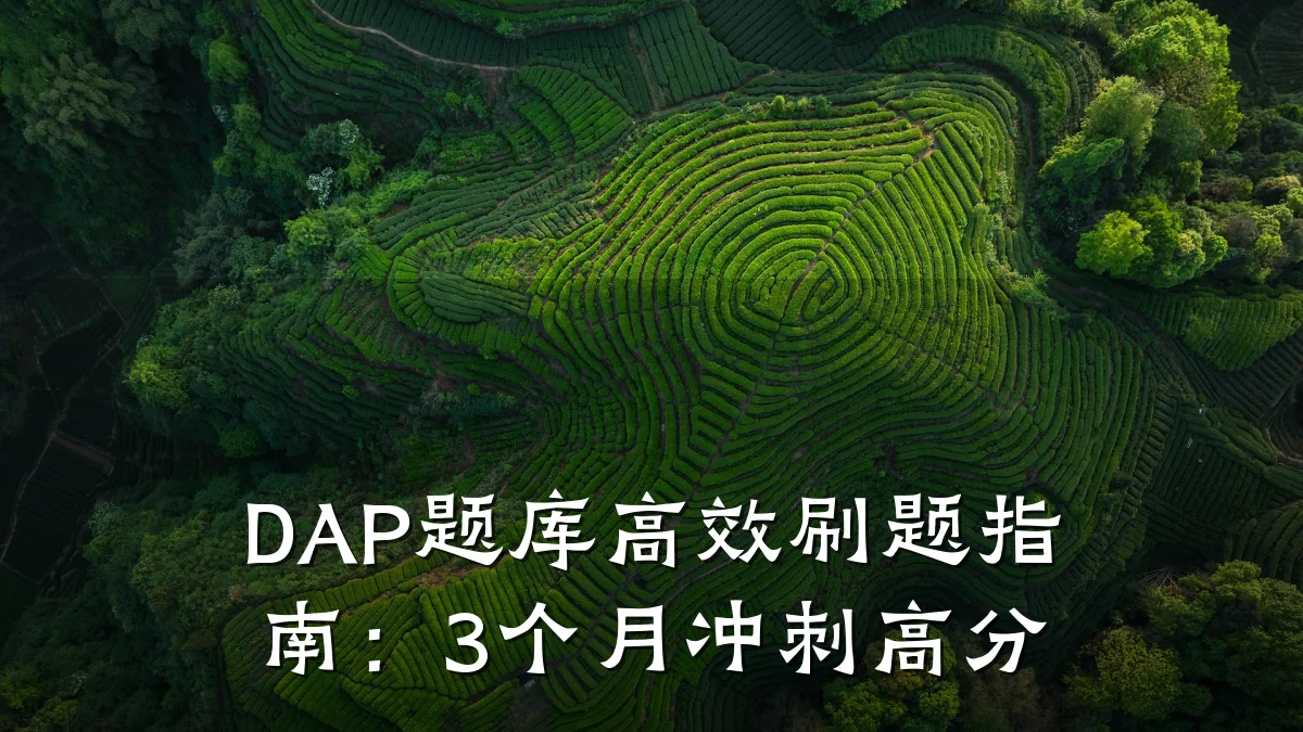 DAP题库高效刷题指南:3个月冲刺高分