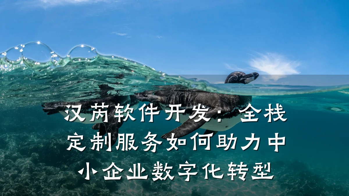 汉芮软件开发：全栈定制服务如何助力中小企业数字化转型