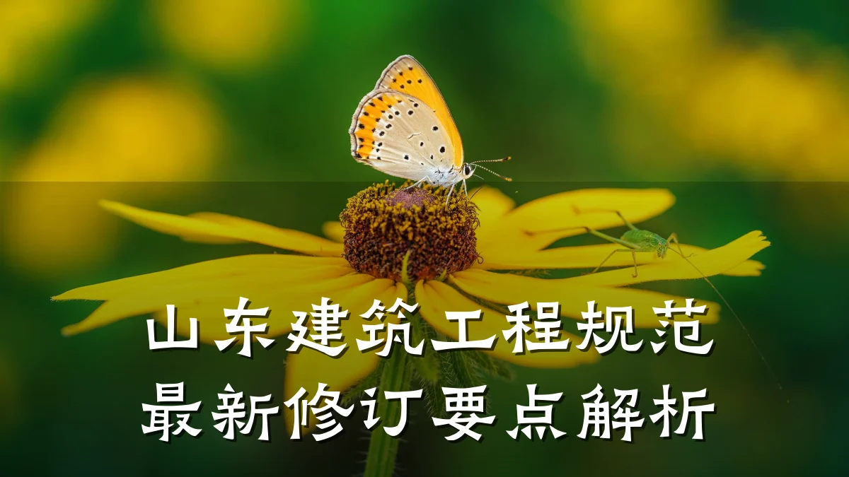山东建筑工程规范最新修订要点解析