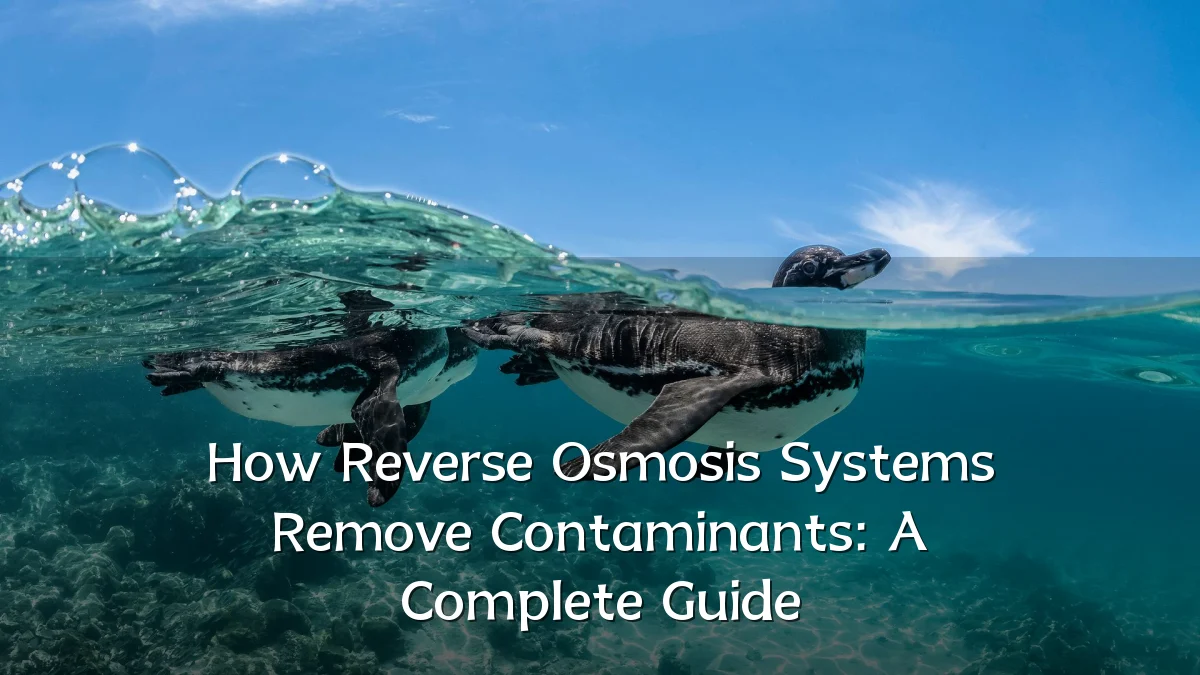 How Reverse Osmosis Systems Remove Contaminants: A Complete Guide