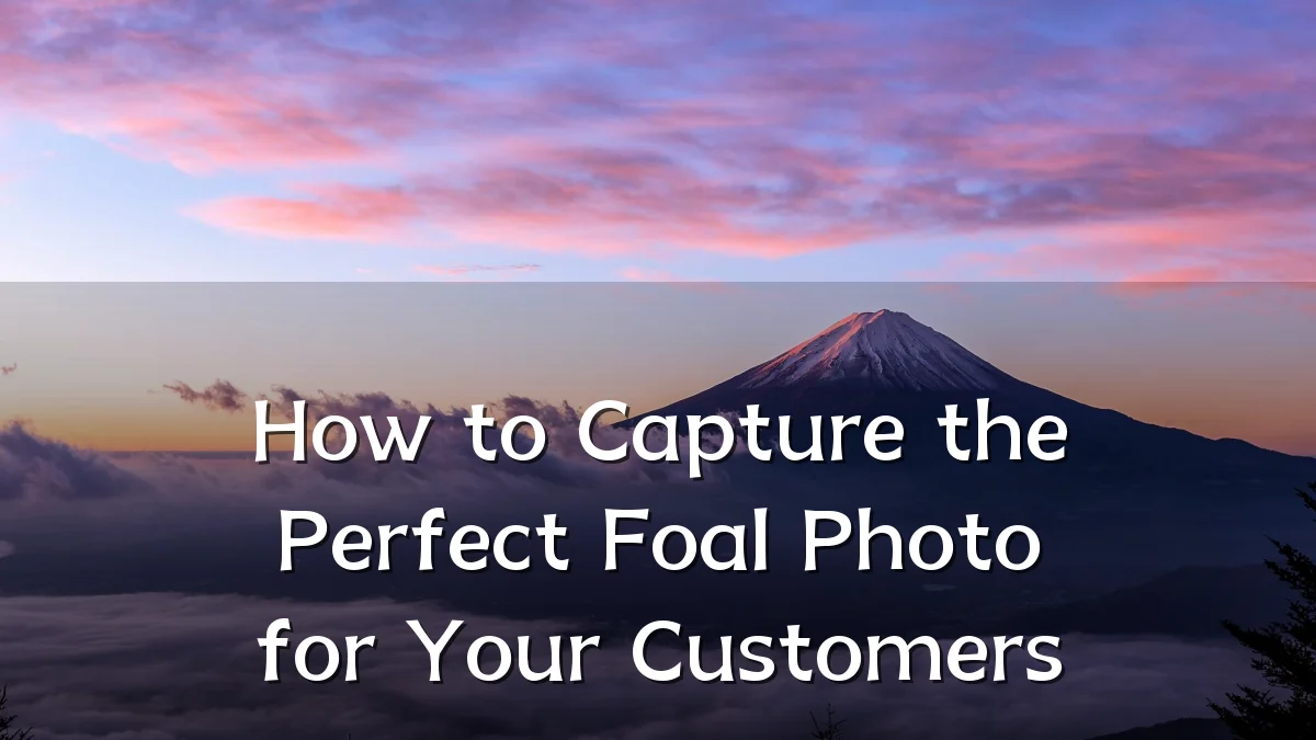 How to Capture the Perfect Foal Photo for Your Customers
