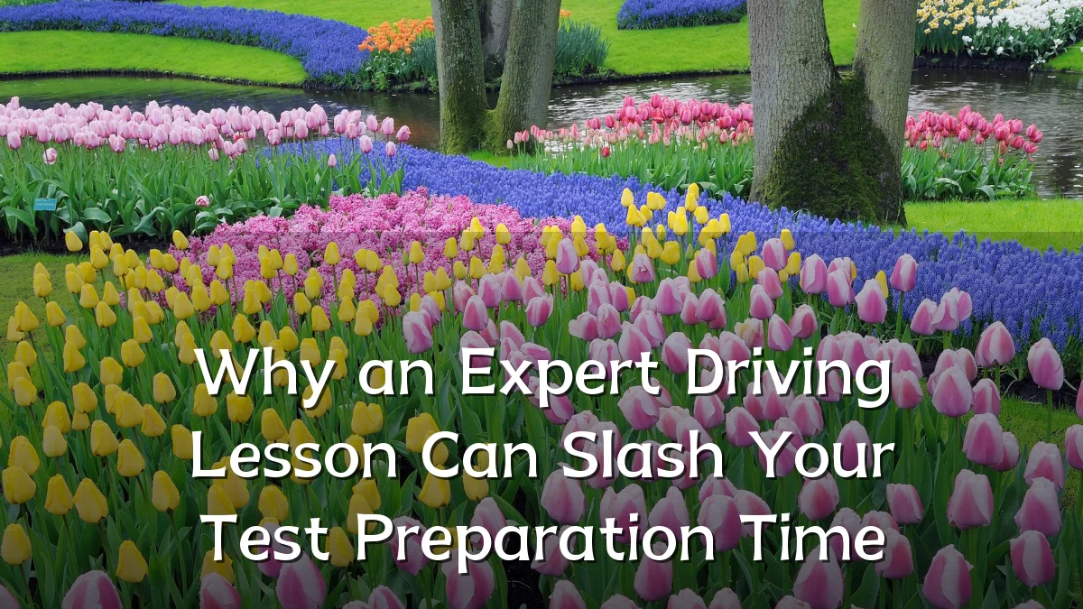 Why an Expert Driving Lesson Can Slash Your Test Preparation Time