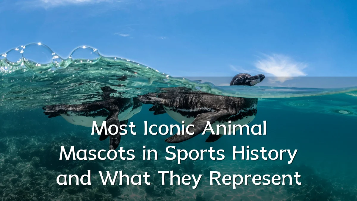 Most Iconic Animal Mascots in Sports History and What They Represent