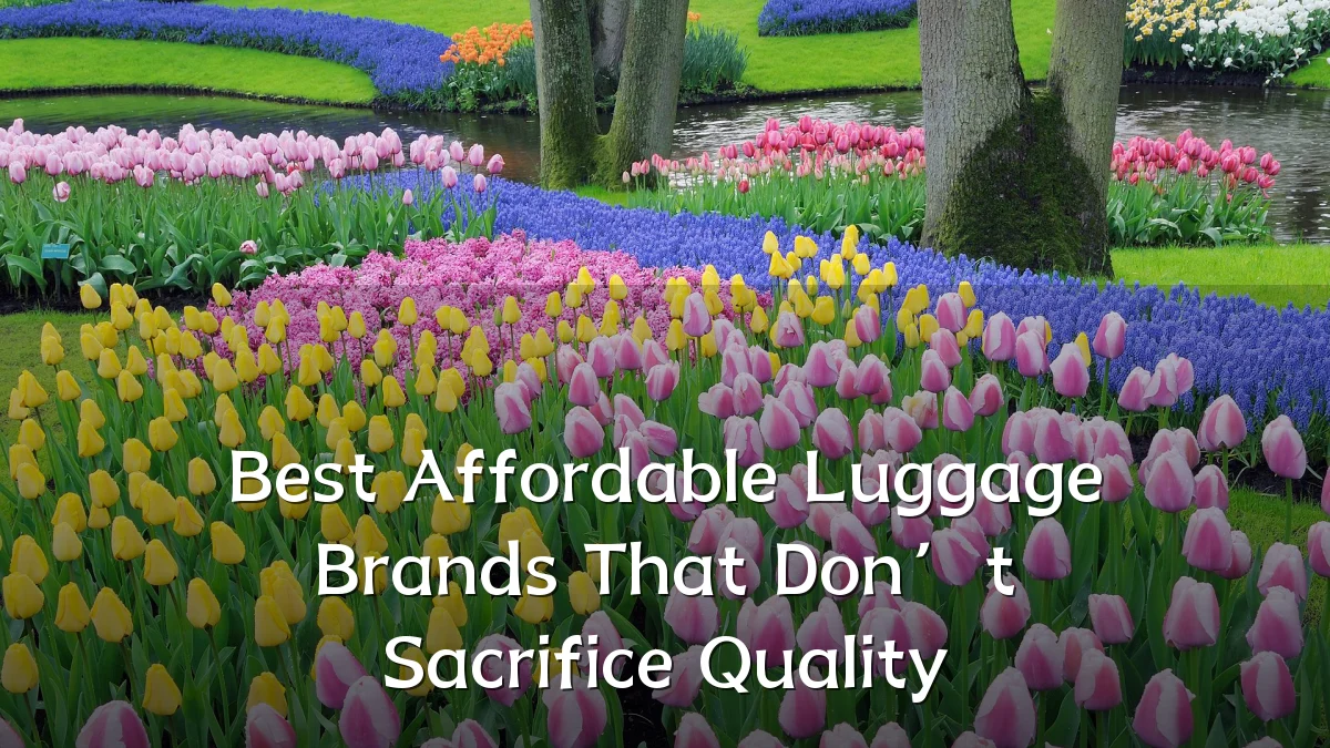 Best Affordable Luggage Brands That Don’t Sacrifice Quality
