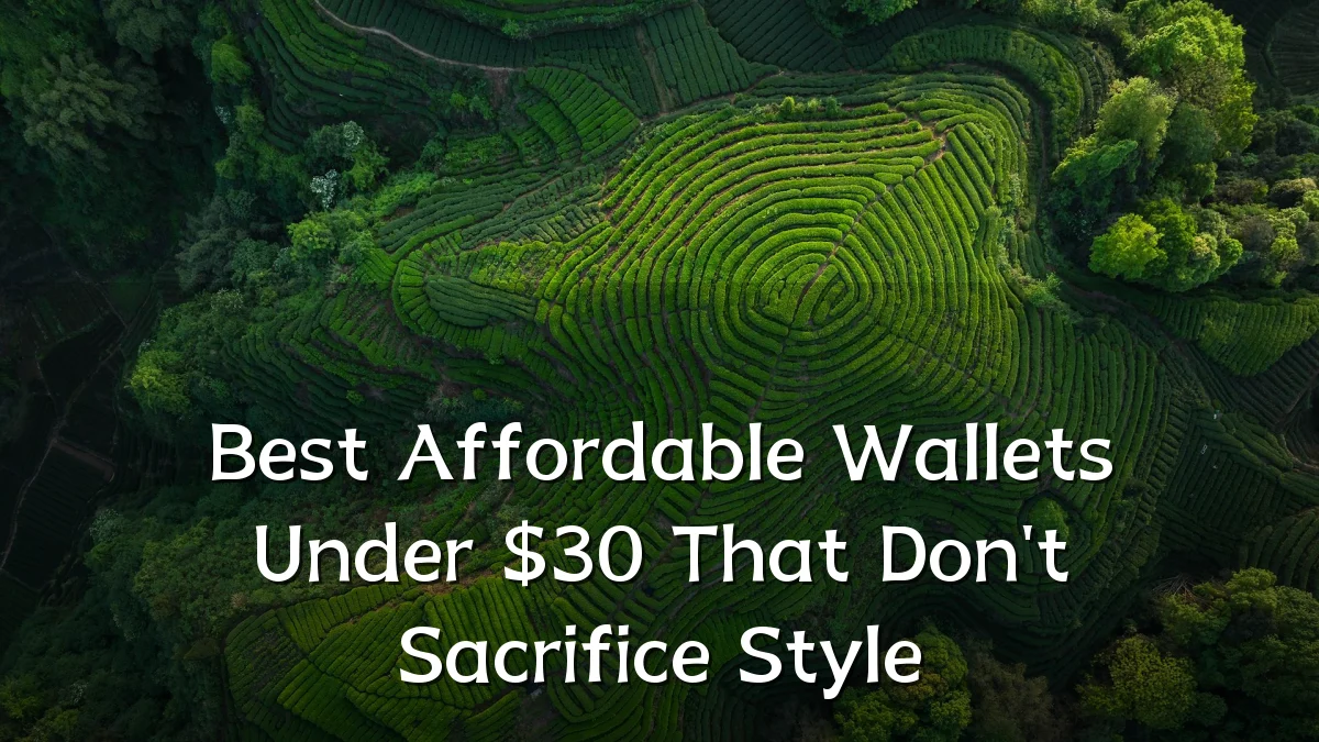 Best Affordable Wallets Under $30 That Don't Sacrifice Style