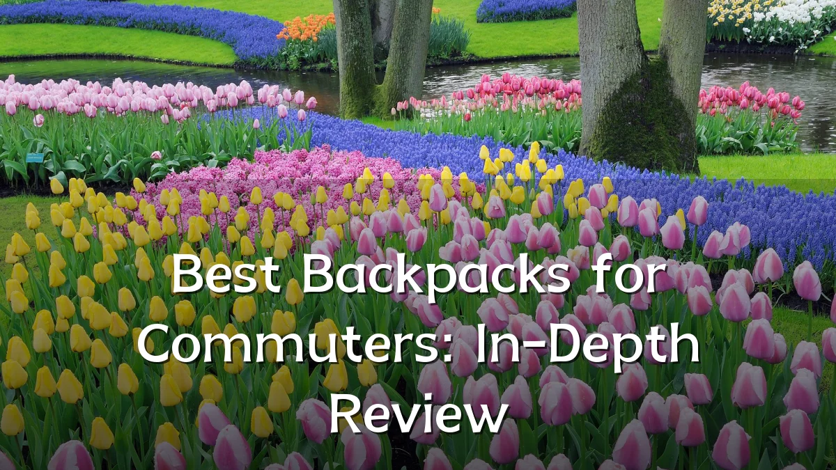 Best Backpacks for Commuters: In-Depth Review