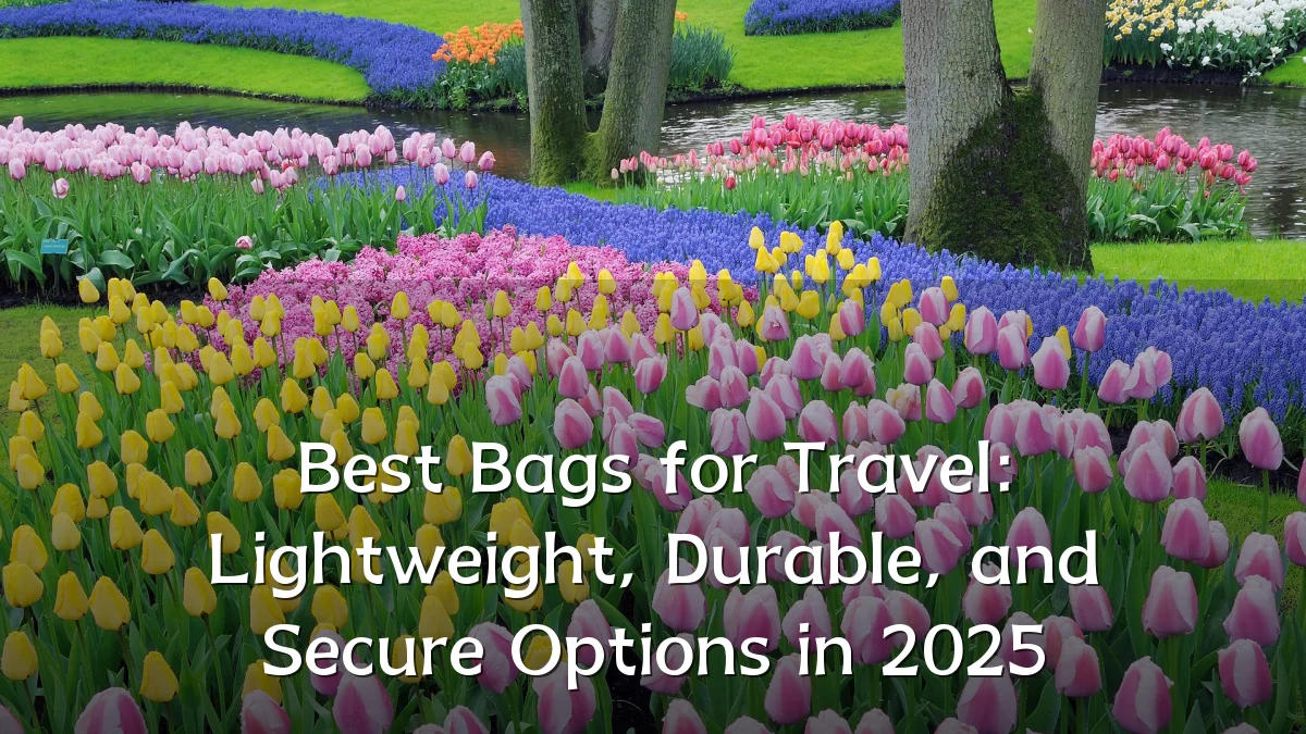 Best Bags for Travel: Lightweight, Durable, and Secure Options in 2025