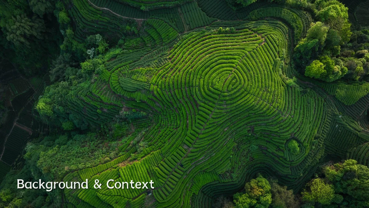Background & Context