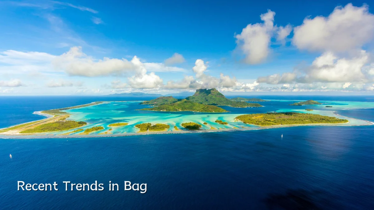 Recent Trends in Bag