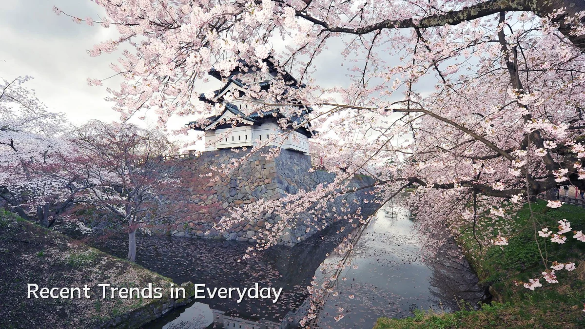 Recent Trends in Everyday