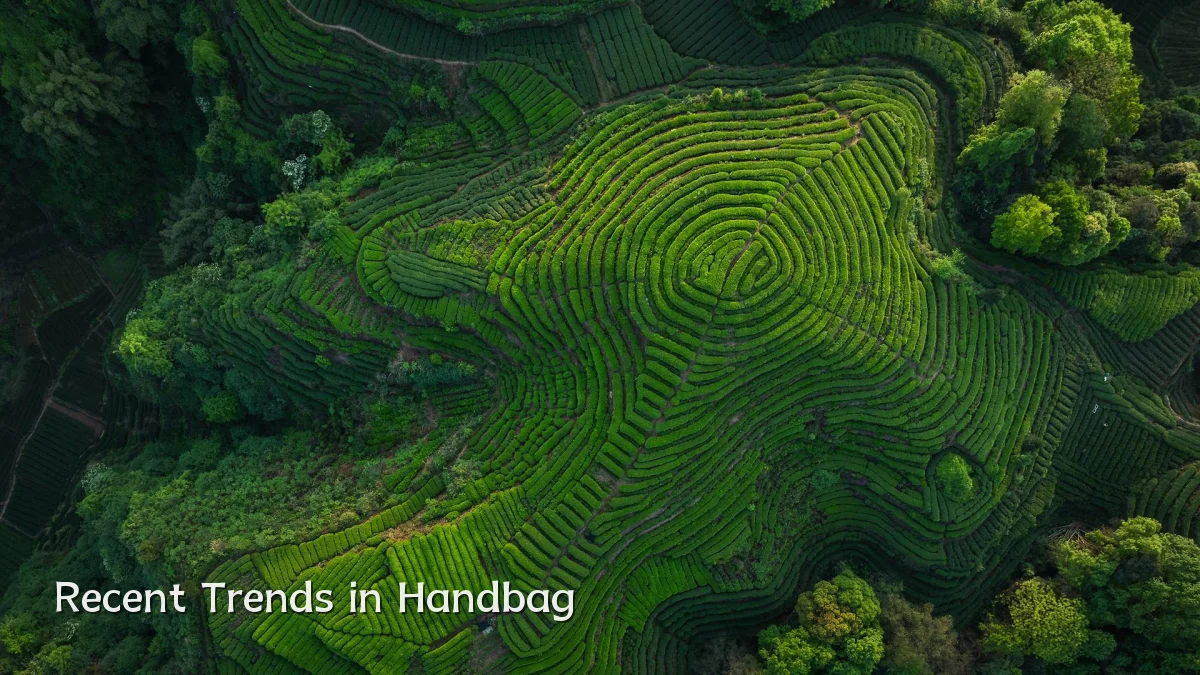 Recent Trends in Handbag