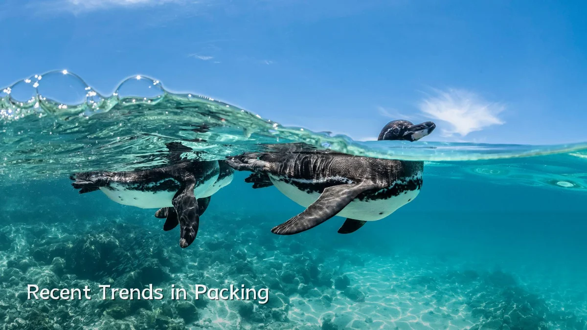Recent Trends in Packing