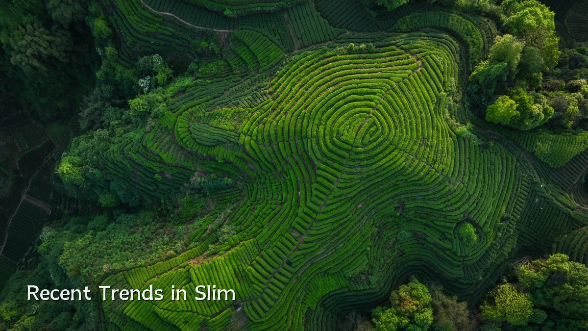 Recent Trends in Slim