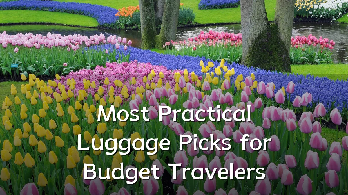 Most Practical Luggage Picks for Budget Travelers