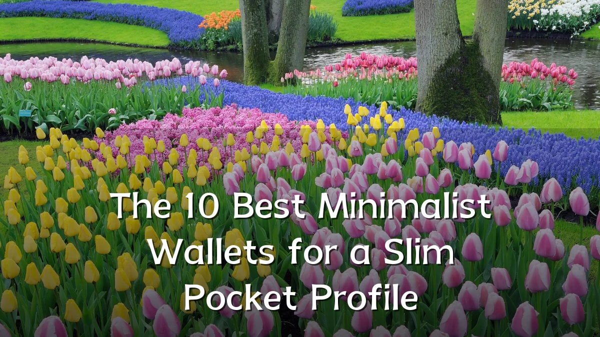 The 10 Best Minimalist Wallets for a Slim Pocket Profile