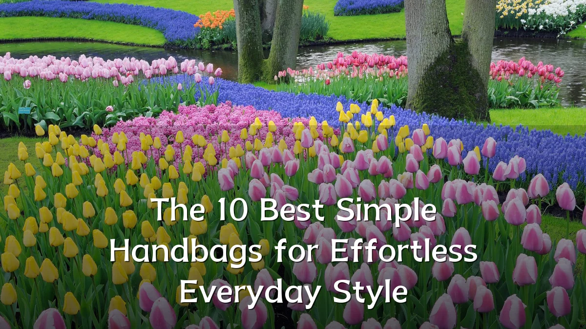 The 10 Best Simple Handbags for Effortless Everyday Style