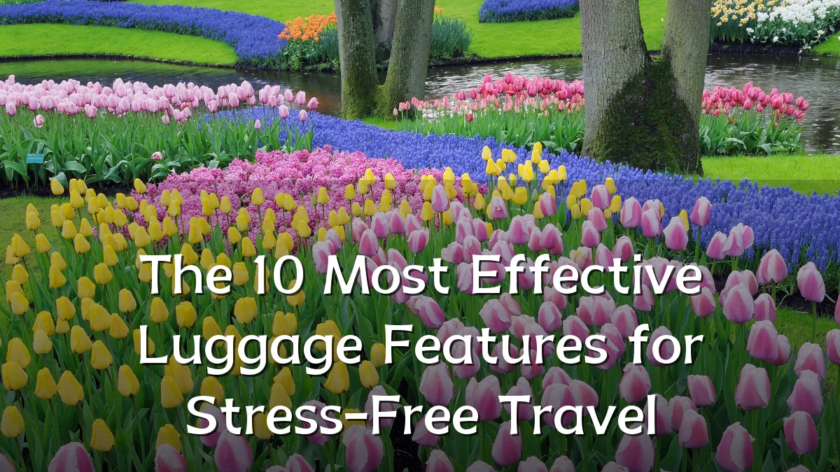 The 10 Most Effective Luggage Features for Stress-Free Travel