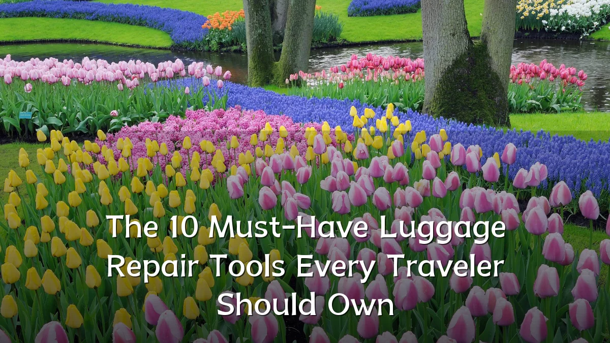 The 10 Must-Have Luggage Repair Tools Every Traveler Should Own