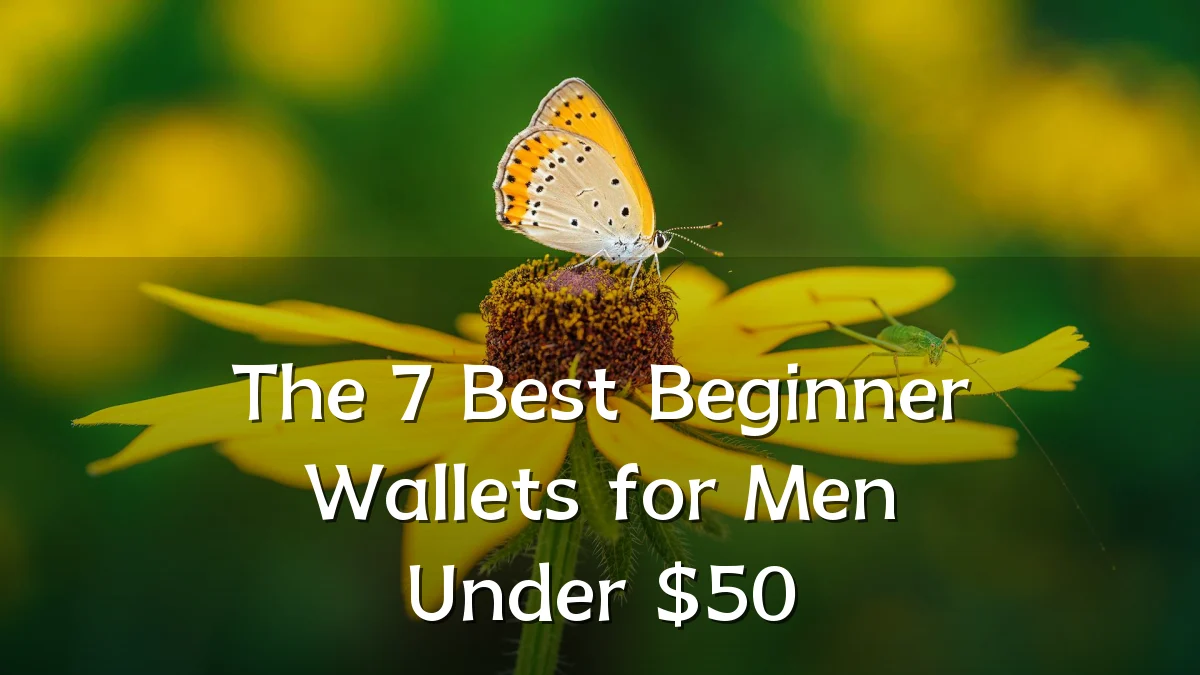 The 7 Best Beginner Wallets for Men Under $50