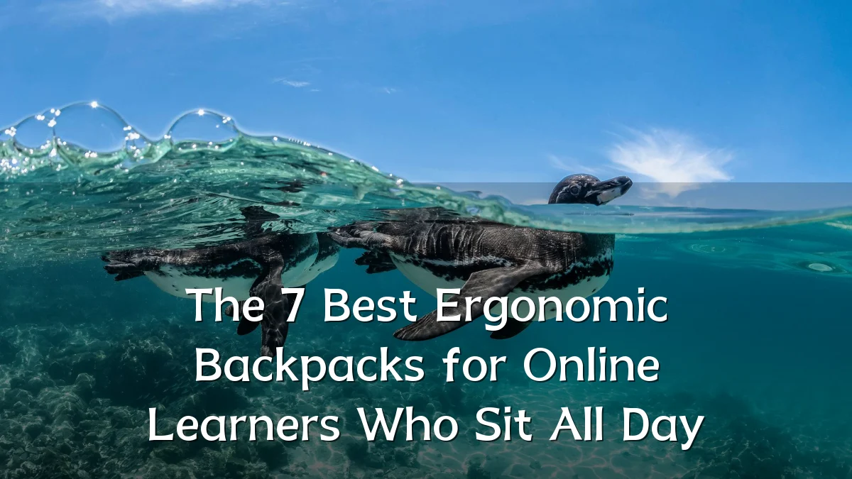 The 7 Best Ergonomic Backpacks for Online Learners Who Sit All Day