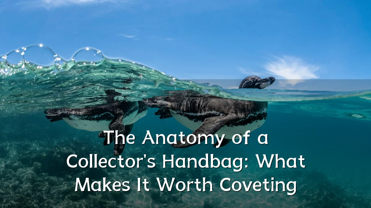 The Anatomy of a Collector's Handbag: What Makes It Worth Coveting