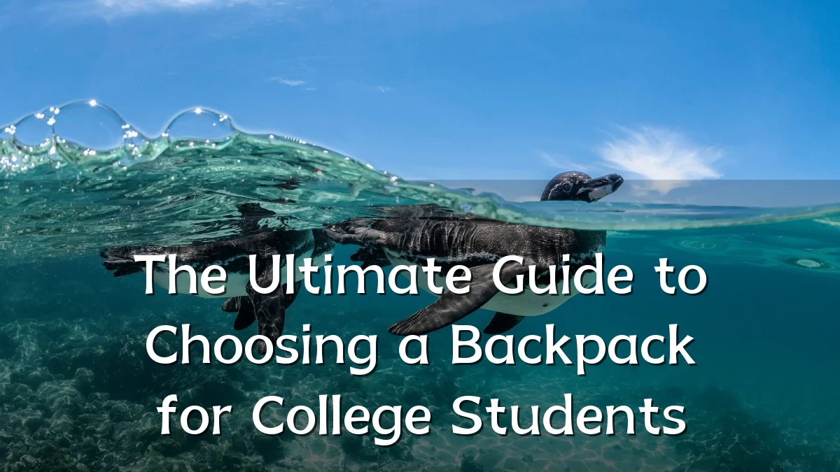 The Ultimate Guide to Choosing a Backpack for College Students