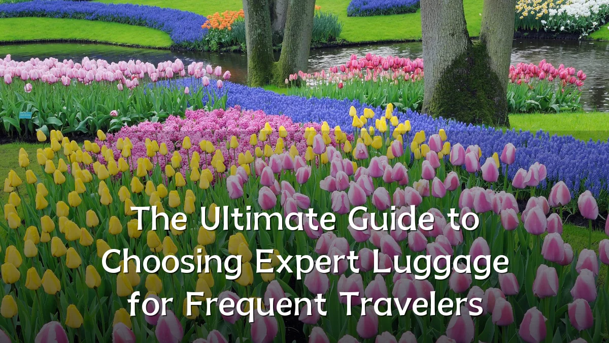 The Ultimate Guide to Choosing Expert Luggage for Frequent Travelers