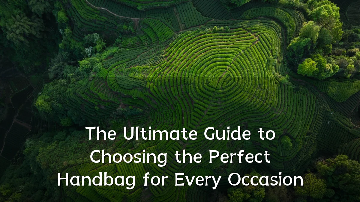 The Ultimate Guide to Choosing the Perfect Handbag for Every Occasion