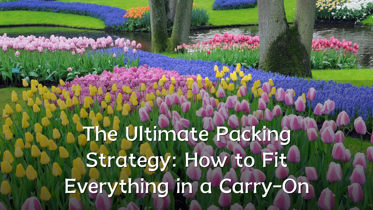 The Ultimate Packing Strategy: How to Fit Everything in a Carry-On