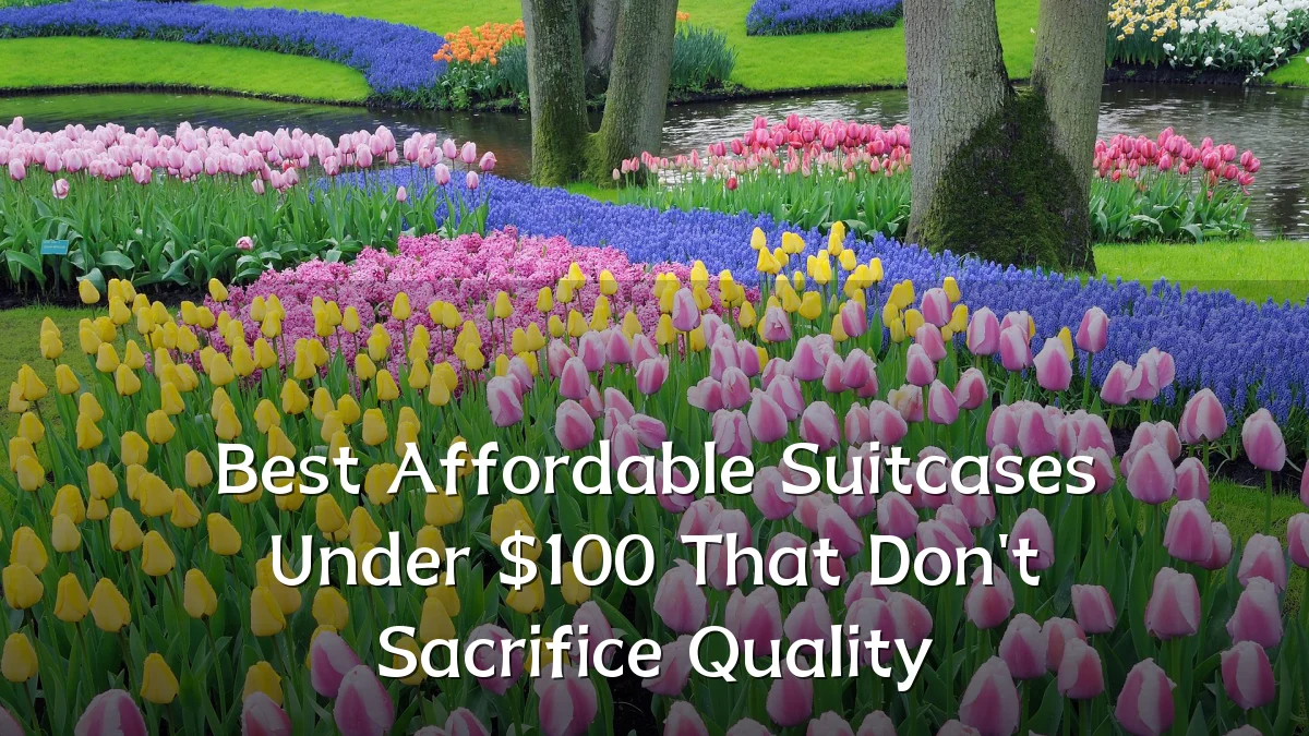 Best Affordable Suitcases Under $100 That Don't Sacrifice Quality