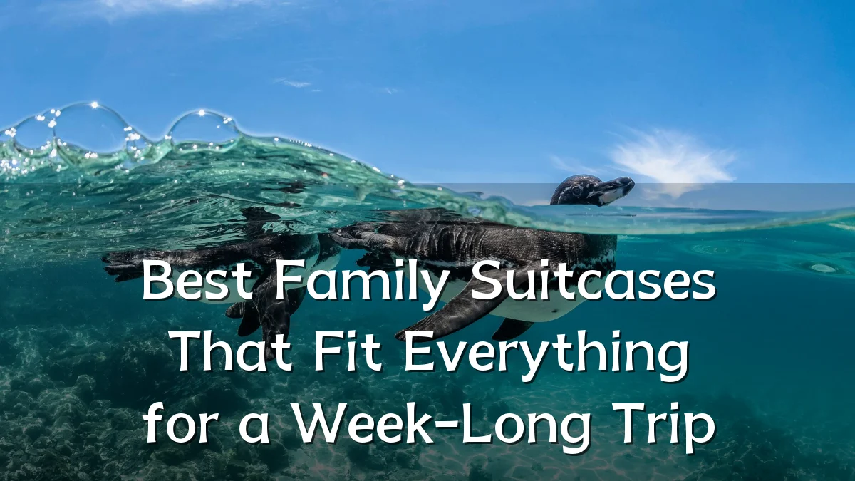 Best Family Suitcases That Fit Everything for a Week-Long Trip
