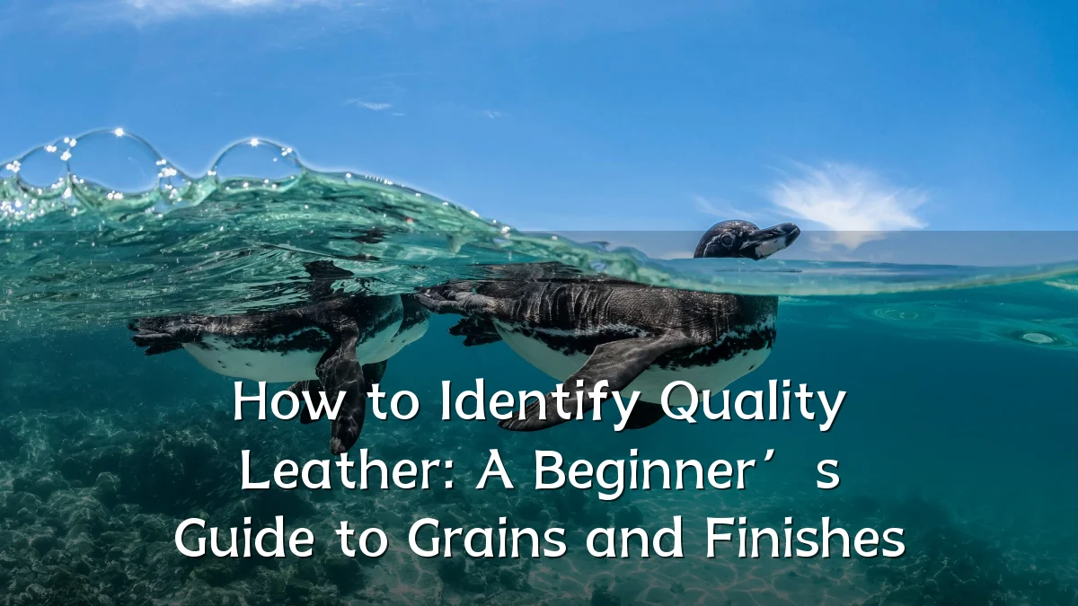 How to Identify Quality Leather: A Beginner’s Guide to Grains and Finishes