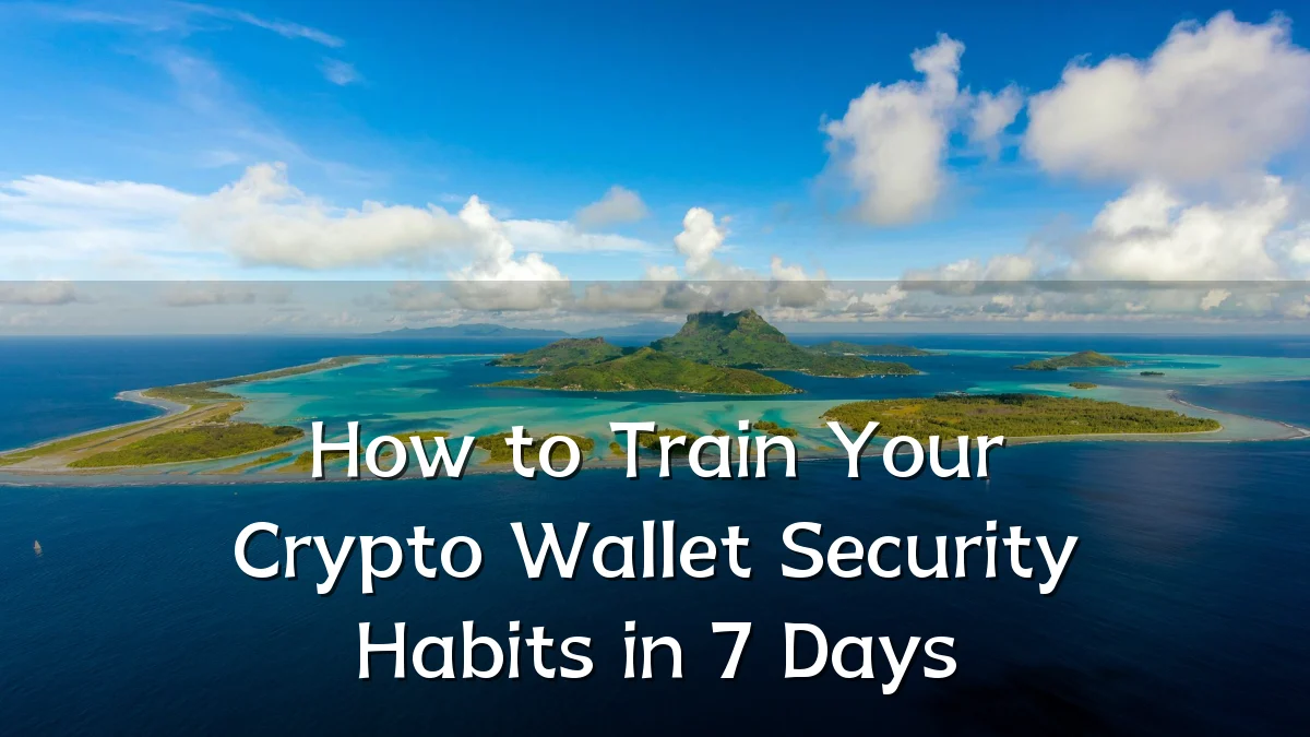 How to Train Your Crypto Wallet Security Habits in 7 Days