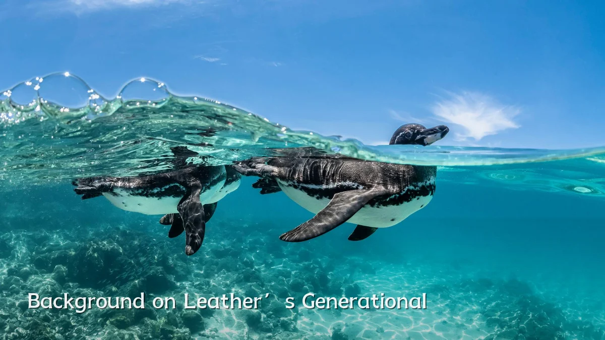 Background on Leather’s Generational
