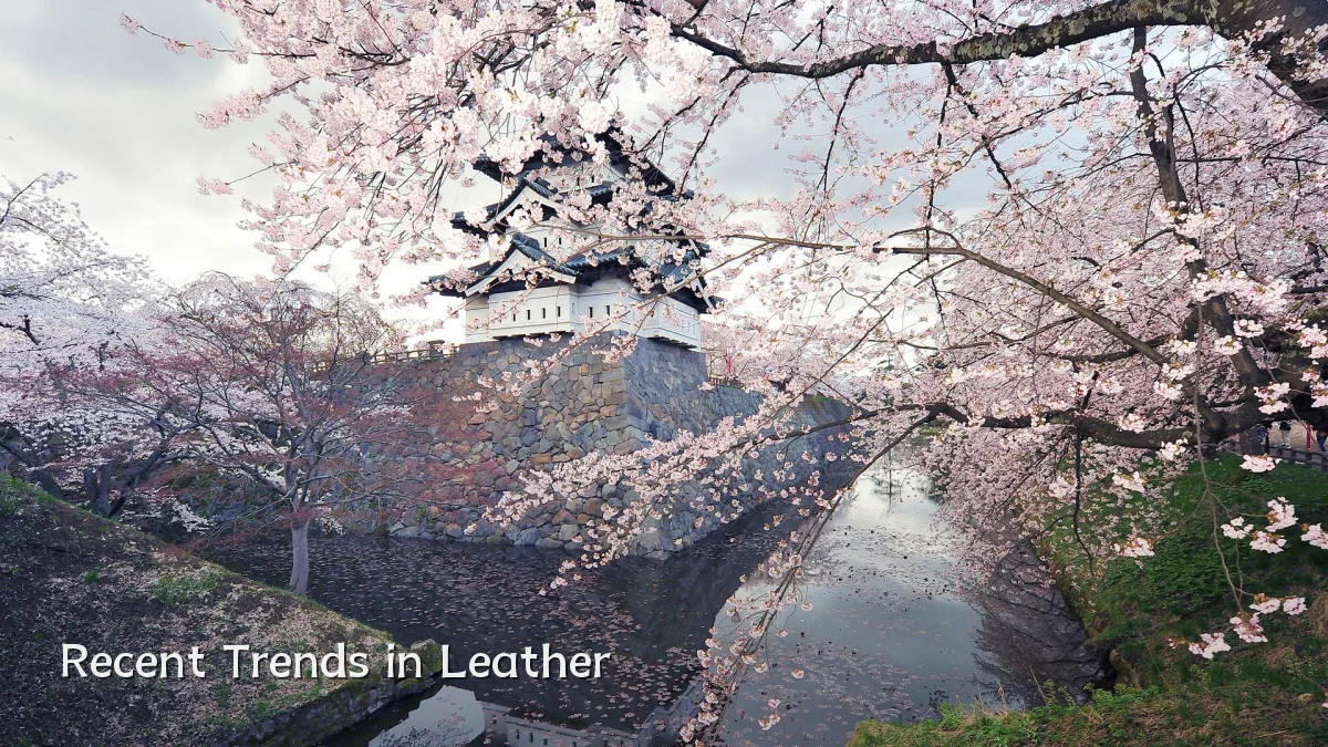 Recent Trends in Leather