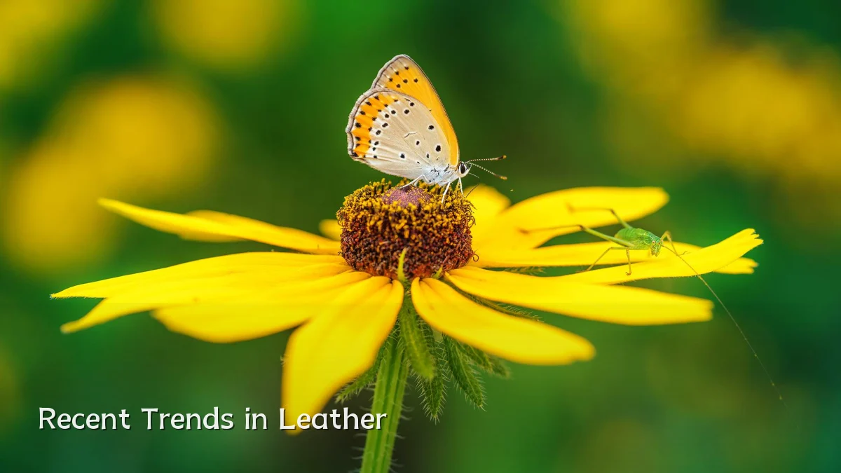 Recent Trends in Leather