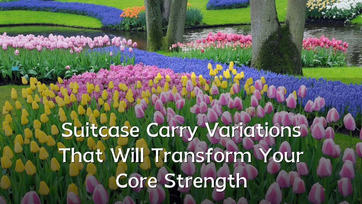 Suitcase Carry Variations That Will Transform Your Core Strength