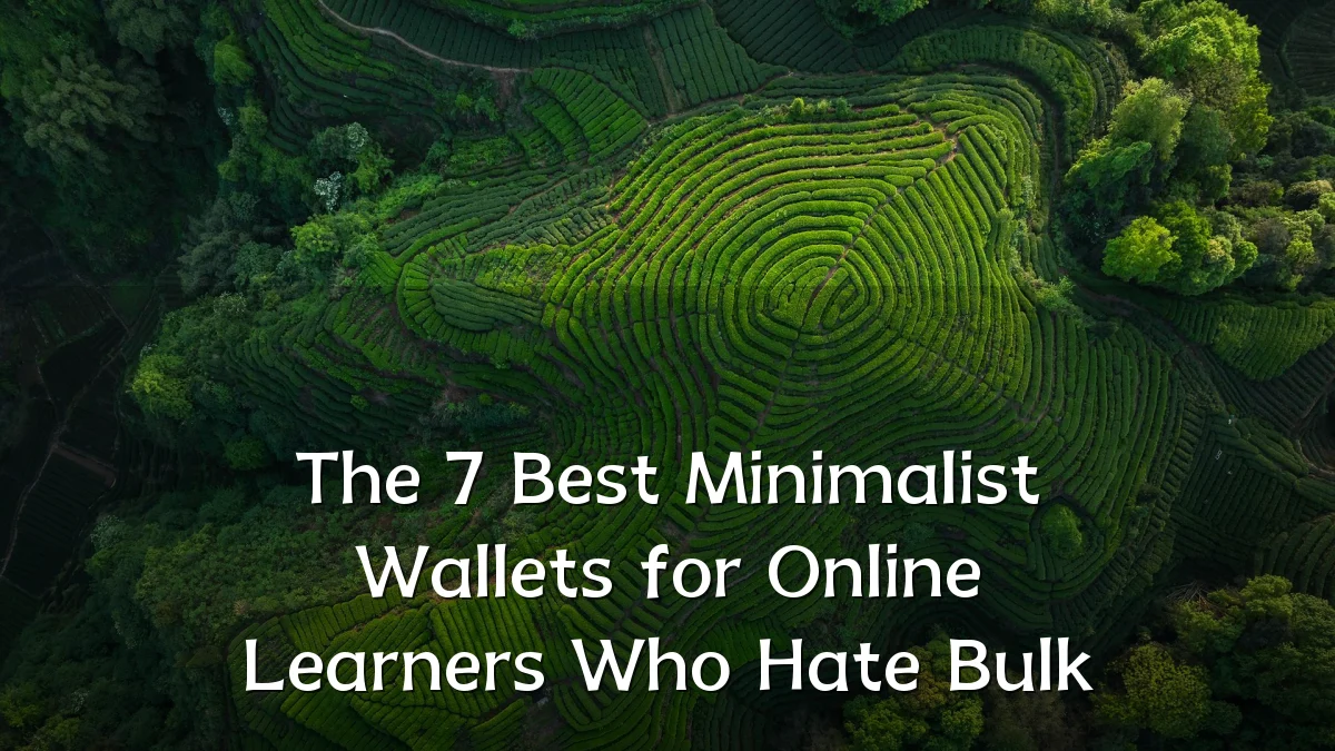 The 7 Best Minimalist Wallets for Online Learners Who Hate Bulk