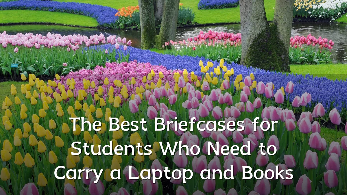 The Best Briefcases for Students Who Need to Carry a Laptop and Books