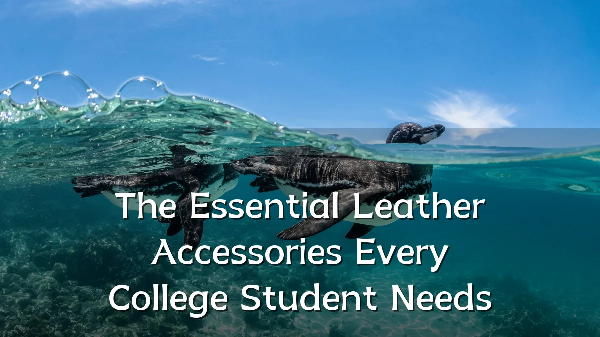 The Essential Leather Accessories Every College Student Needs