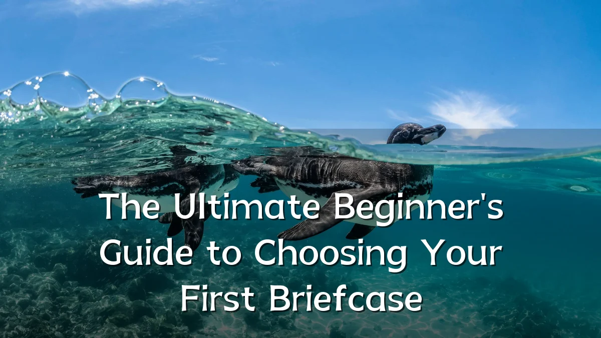 The Ultimate Beginner's Guide to Choosing Your First Briefcase