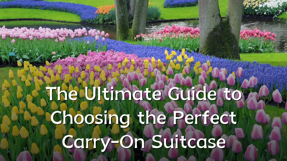 The Ultimate Guide to Choosing the Perfect Carry-On Suitcase