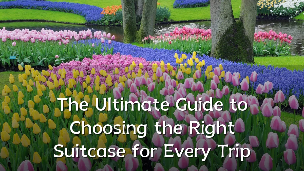 The Ultimate Guide to Choosing the Right Suitcase for Every Trip