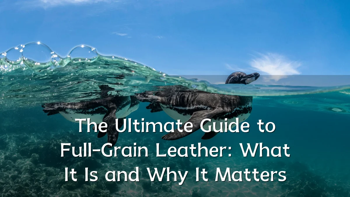 The Ultimate Guide to Full-Grain Leather: What It Is and Why It Matters
