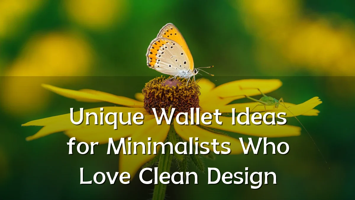 Unique Wallet Ideas for Minimalists Who Love Clean Design