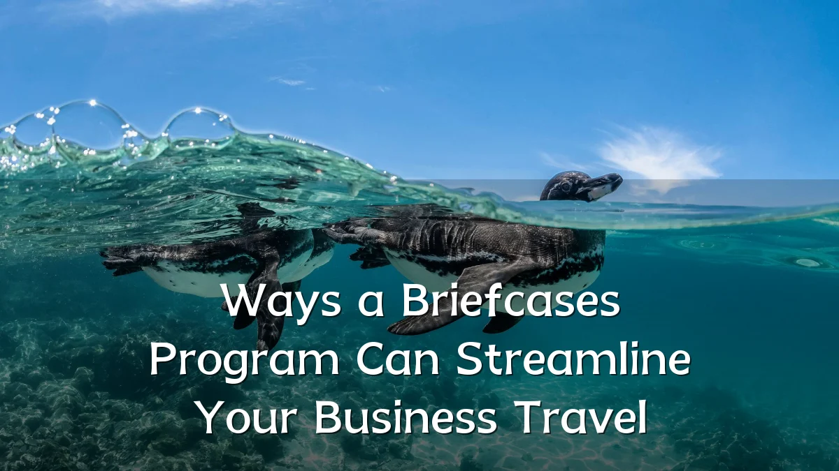 Ways a Briefcases Program Can Streamline Your Business Travel